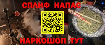 прущие грибы Будённовск