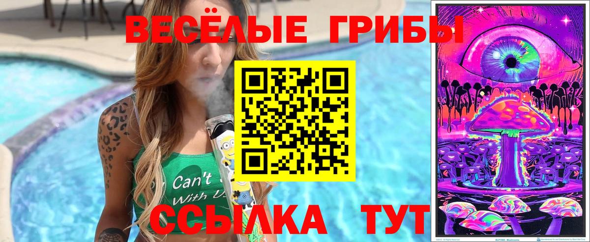 Псилоцибиновые грибы ЛСД  Галлюциногенные грибы Psilocybe  Вход с VPN  Симферополь 